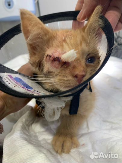 Машенька без глазика