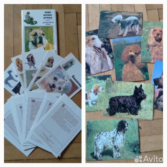 Открытки,календарики собаки СССР