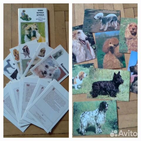 Открытки,календарики собаки СССР