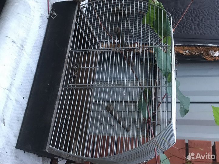 Клетки для птиц
