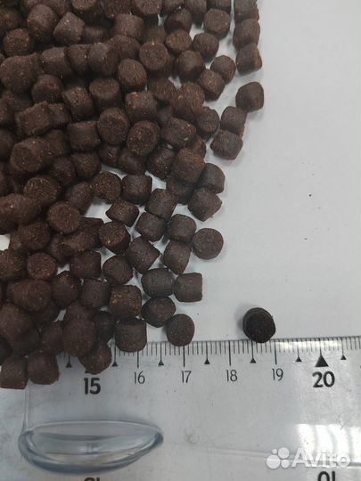 Корм для форели