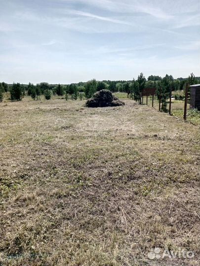 Скошу траву тримером