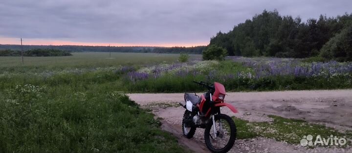 Продаю lifan 200 gy-5