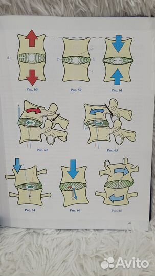 Позвоночник. Физиология суставов. 6е издание