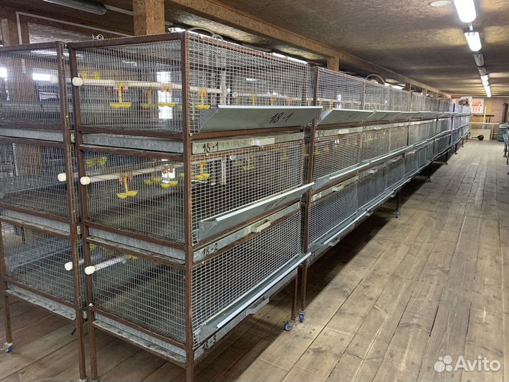 Брудера для птицы