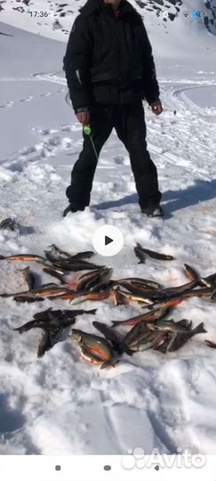 Зимняя рыбалка на кольском п-ве