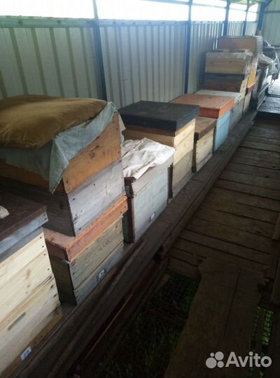 Продаётся пасека