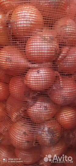 Лук, свёкла, капуста,картофель,морковь