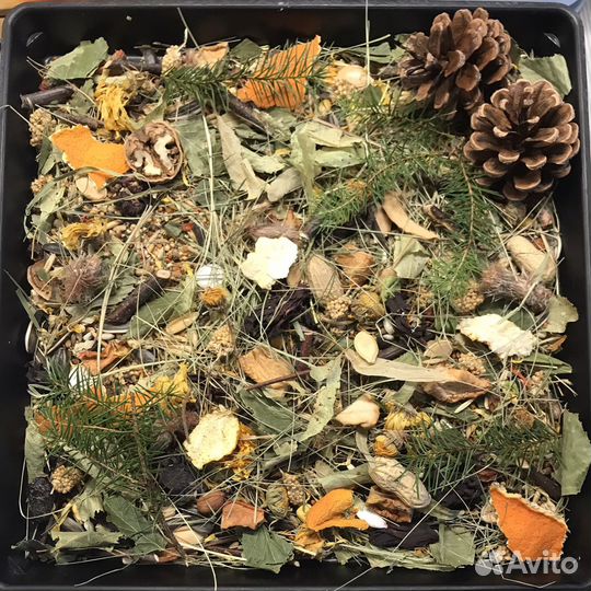 Копошилка для попугаев