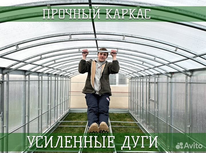 Теплица Прямостенная