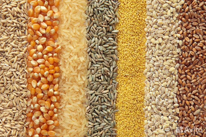 Корма для животных