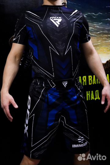 Комплект Рашгард + шорты Rdx immaf Blue