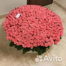 Цветы букеты 101 Роза