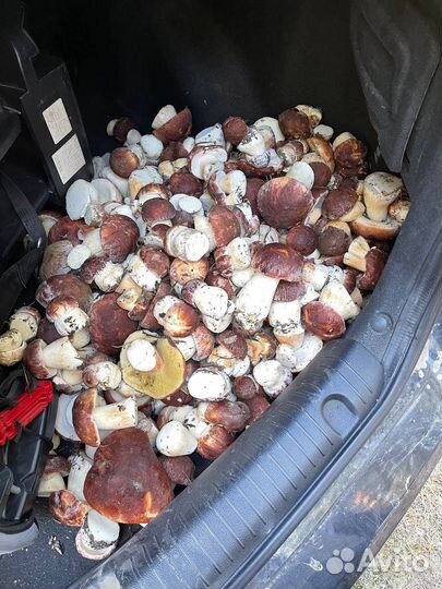 Продукты питания