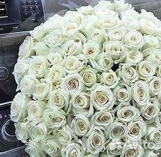 Розы Цветы Букеты 25 51 151 201 101 301 501 опт