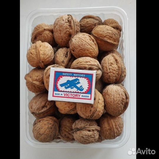 Орех грецкий