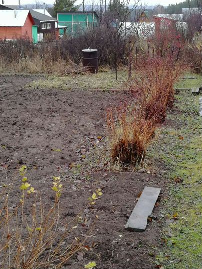 Участок 5 сот. (СНТ, ДНП)