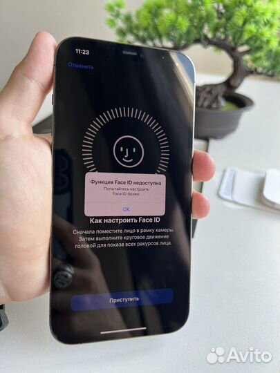 iPhone 12 Pro Max