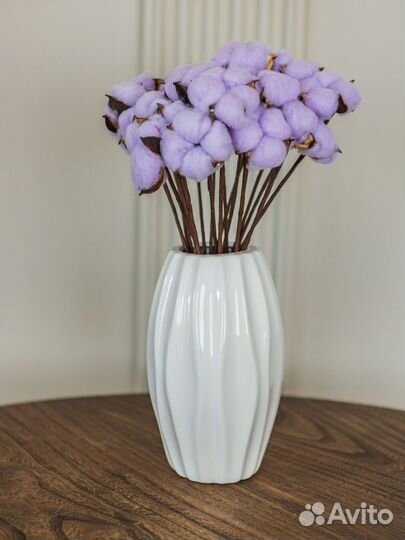 Ветки хлопка сухоцвет