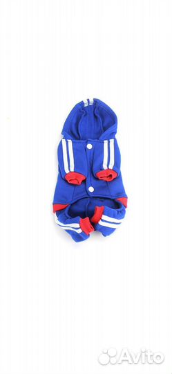 Одежда для мелких собак