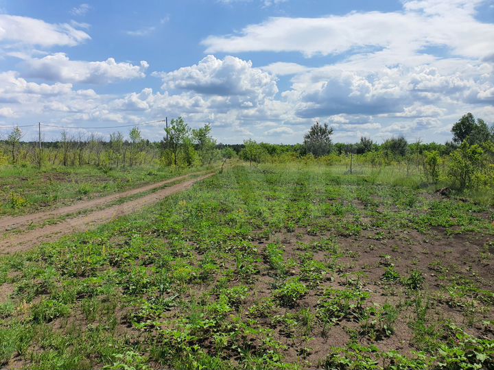 Участок 5 га (ИЖС)