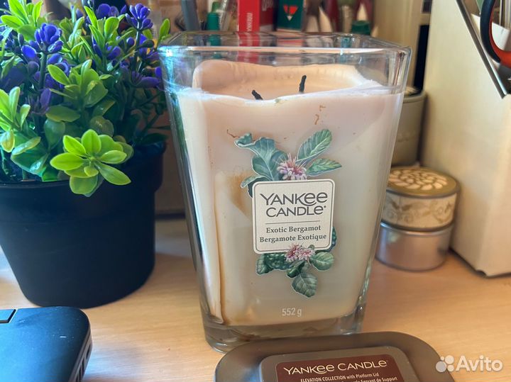 Yankee Candle свеча Экзотический Бергамот 552g
