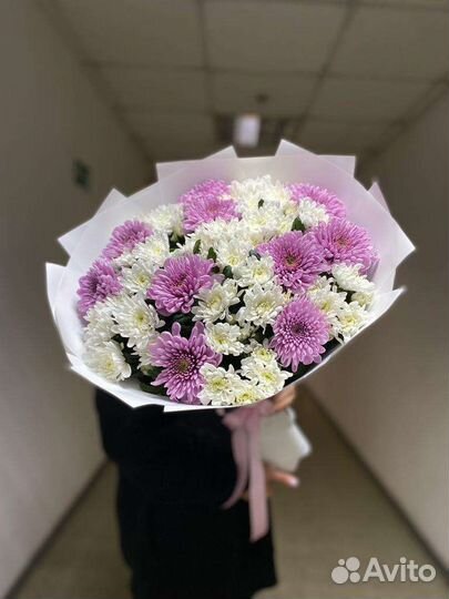 Хризантема кустовая