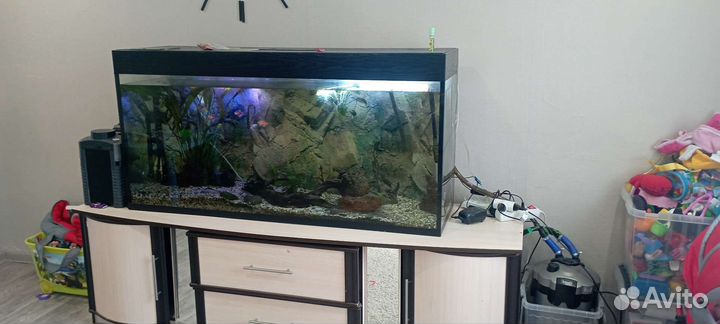 Аквариум с тумбой 450 литров