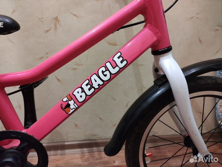 Велосипед Beagle 116