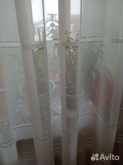 Тюль на люверсах