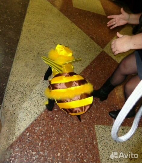Костюм пчела, прокат
