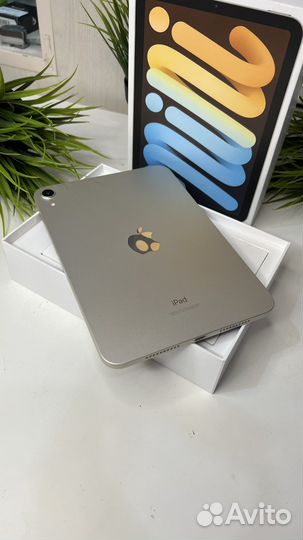 Apple iPad Mini 6 64Gb WiFi Starlight акб 100