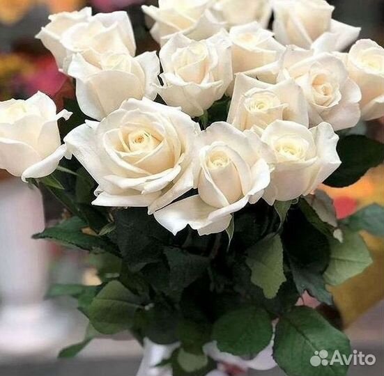 Розы высокие Доставка цветов