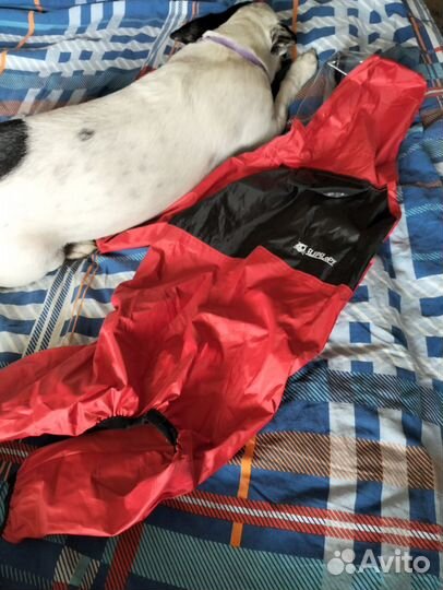 Комбинезон для собаки