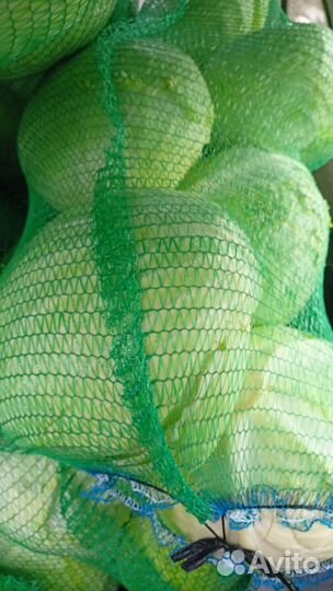 Картофель домашний