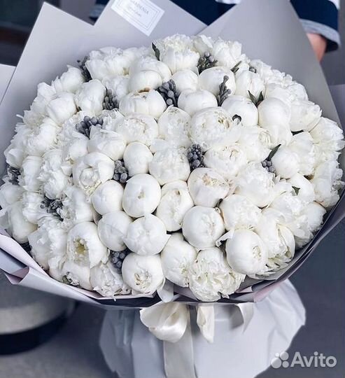 Пионы букеты