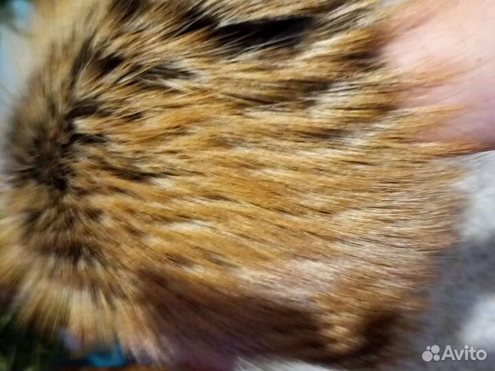 Шапка женская