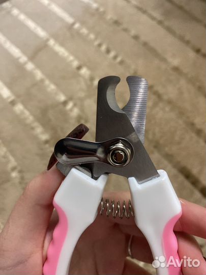 Когтерезка для кошек и собак