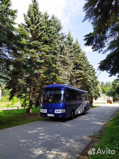 Пассажирские перевозки