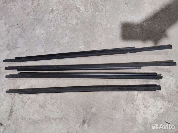 Бархотки внешнии на гранту