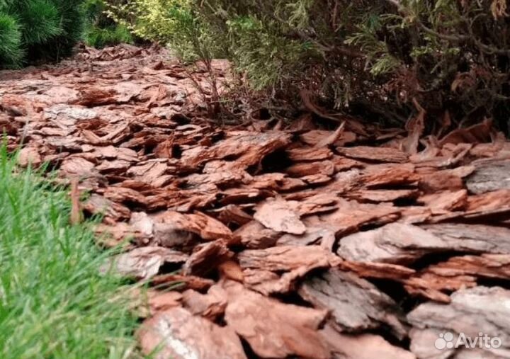 Кора-мульча сосны фракции 10-20 см (мешки 50 литро