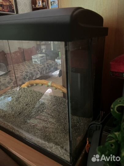 Аквариум