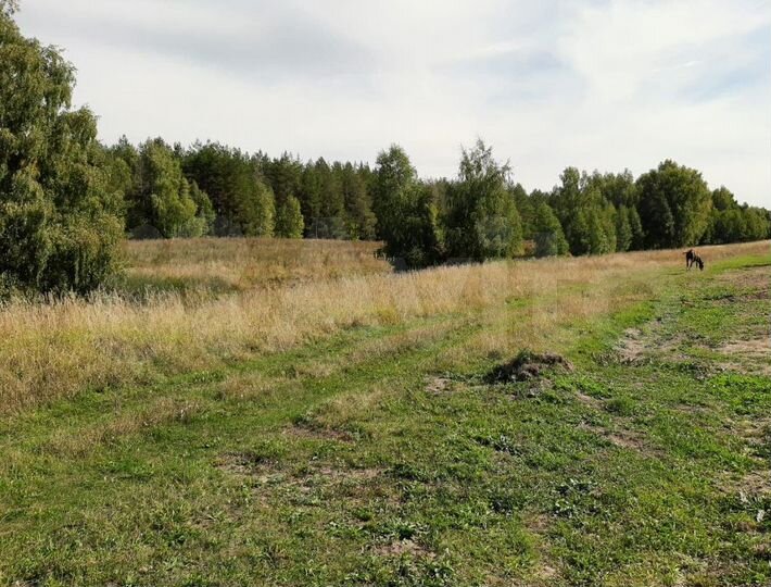 Участок 10 сот. (ИЖС)