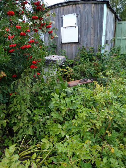 Дача 20 м² на участке 6 сот.