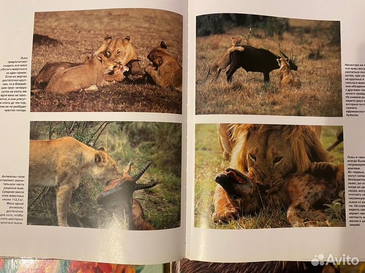 Энциклопедии диклй природы