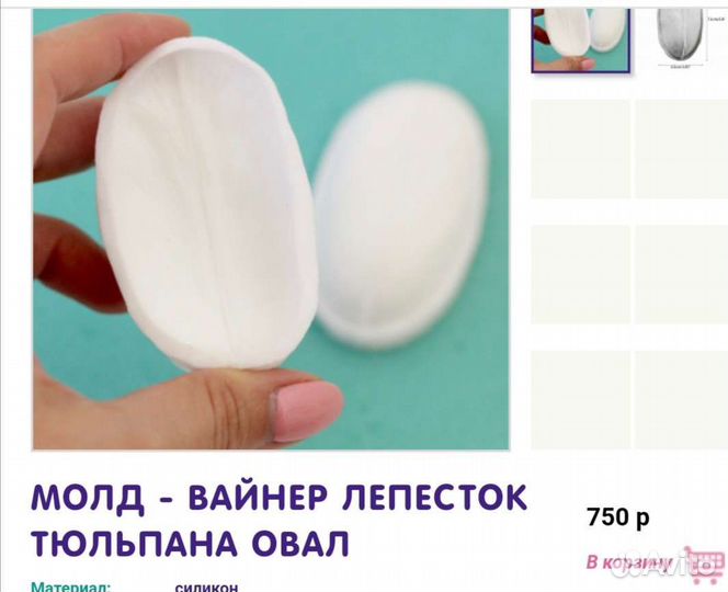 Вайнер тюльпан, анемон