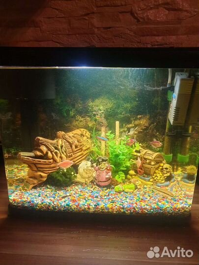 Аквариум