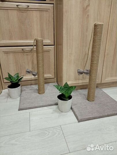 Когтеточка-столбик