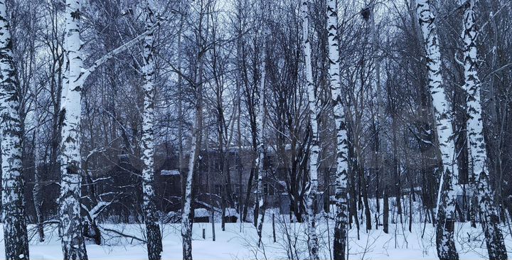 3-к. квартира, 55,2 м², 2/2 эт.