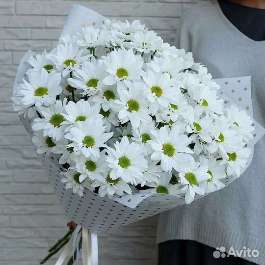 Ромашки кустовые букеты цветы